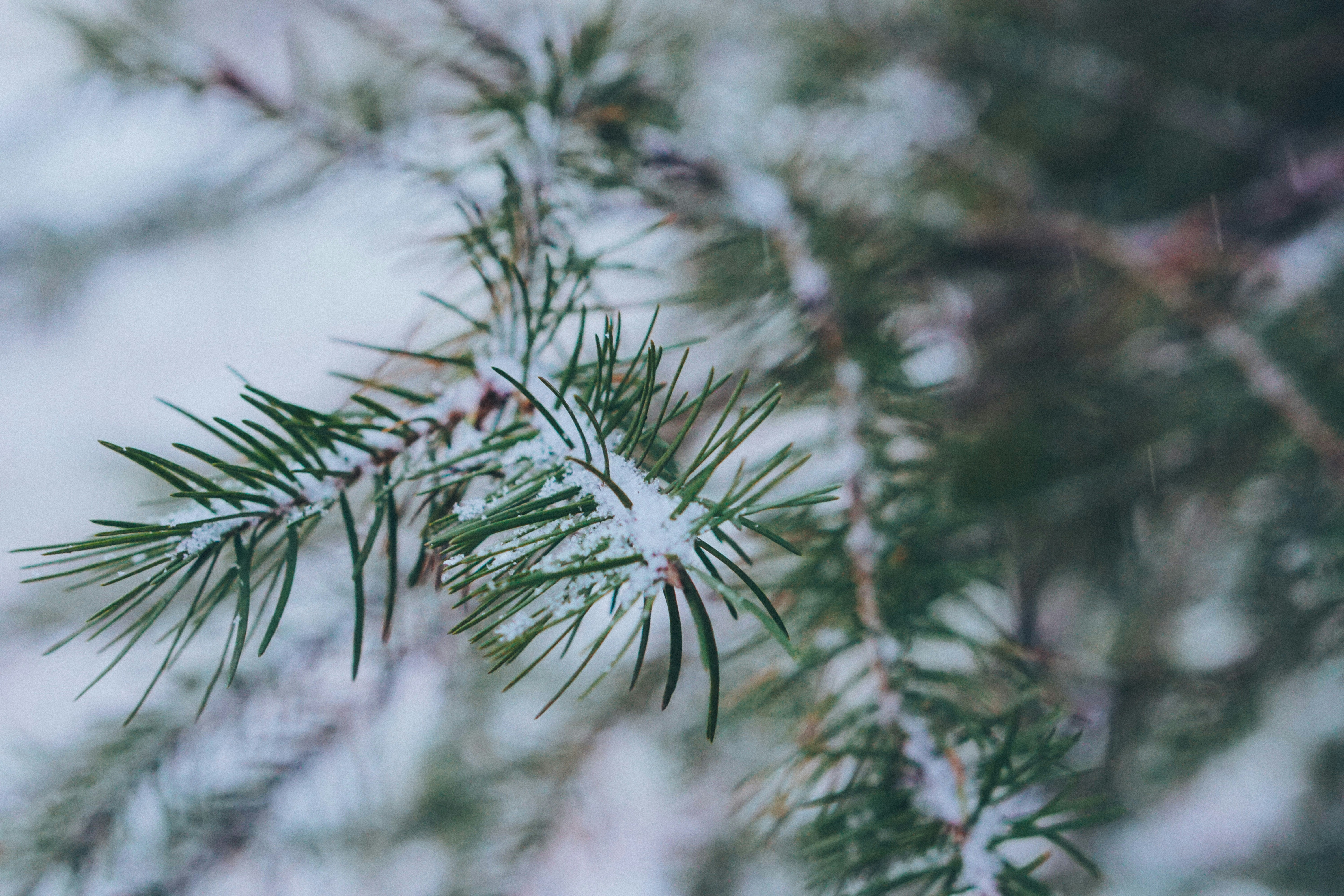 Photo by bethaneyrenfield