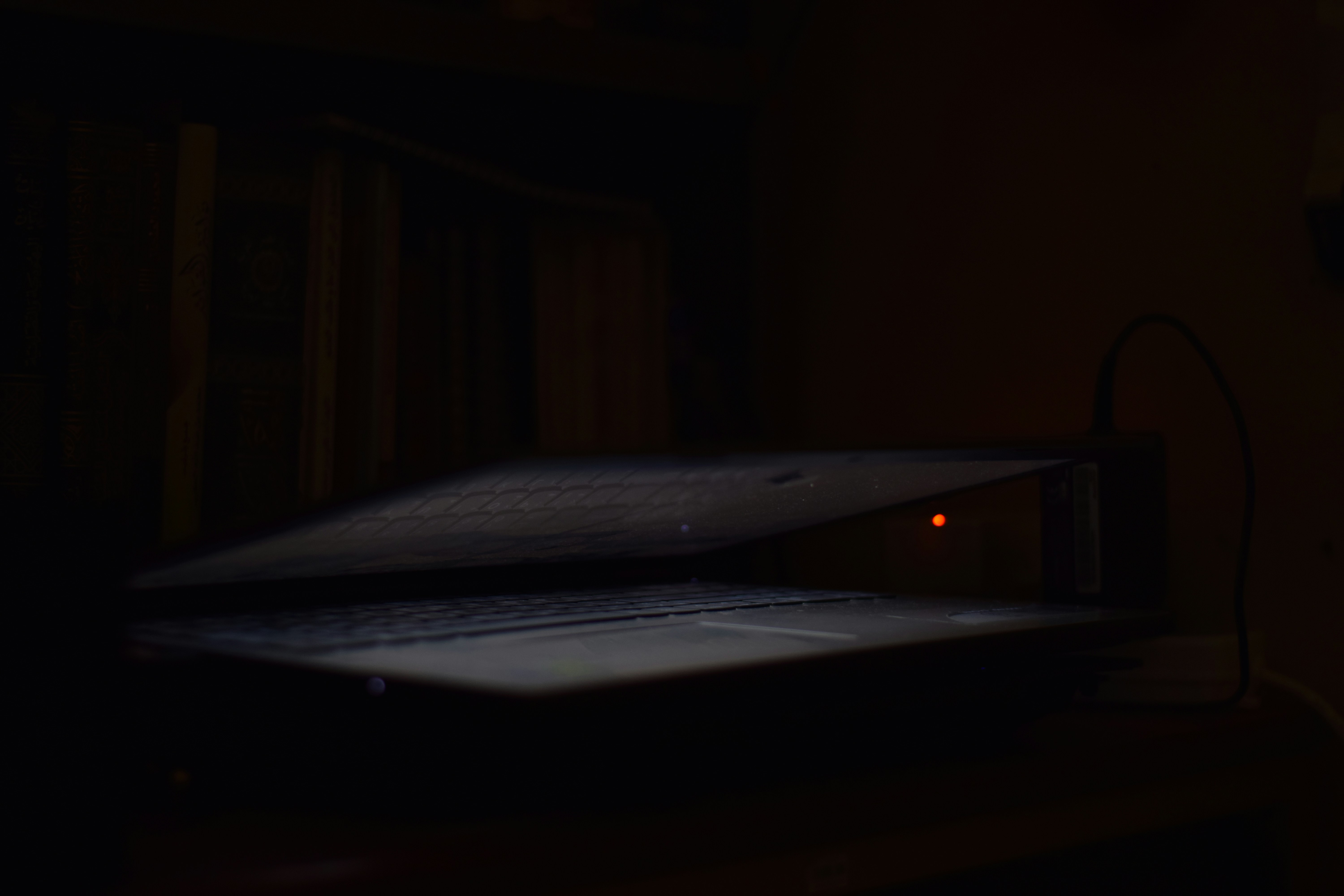 Photo by hydngallery