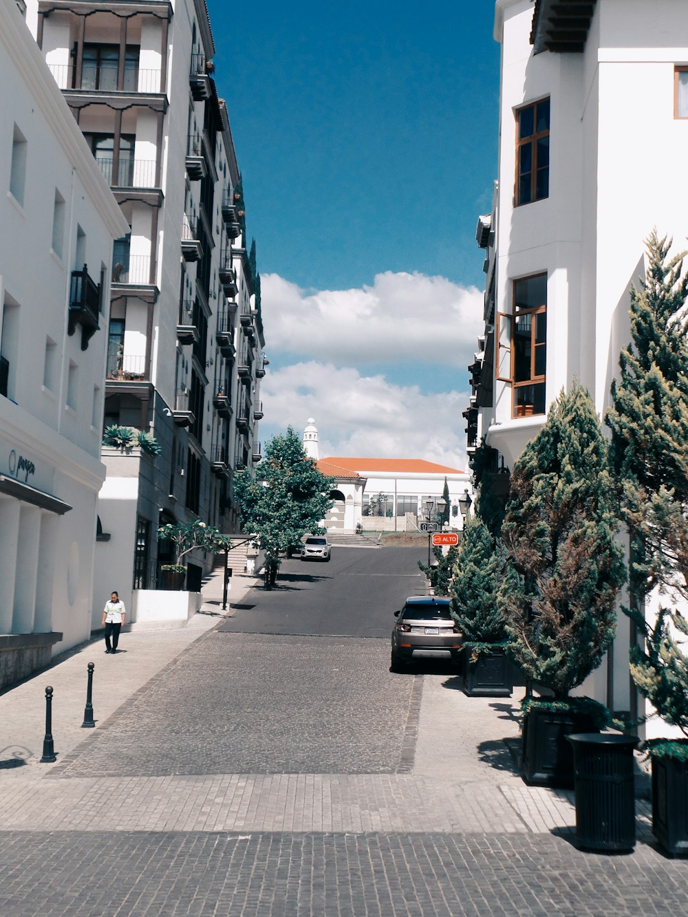 cars parked beside the road near buildings