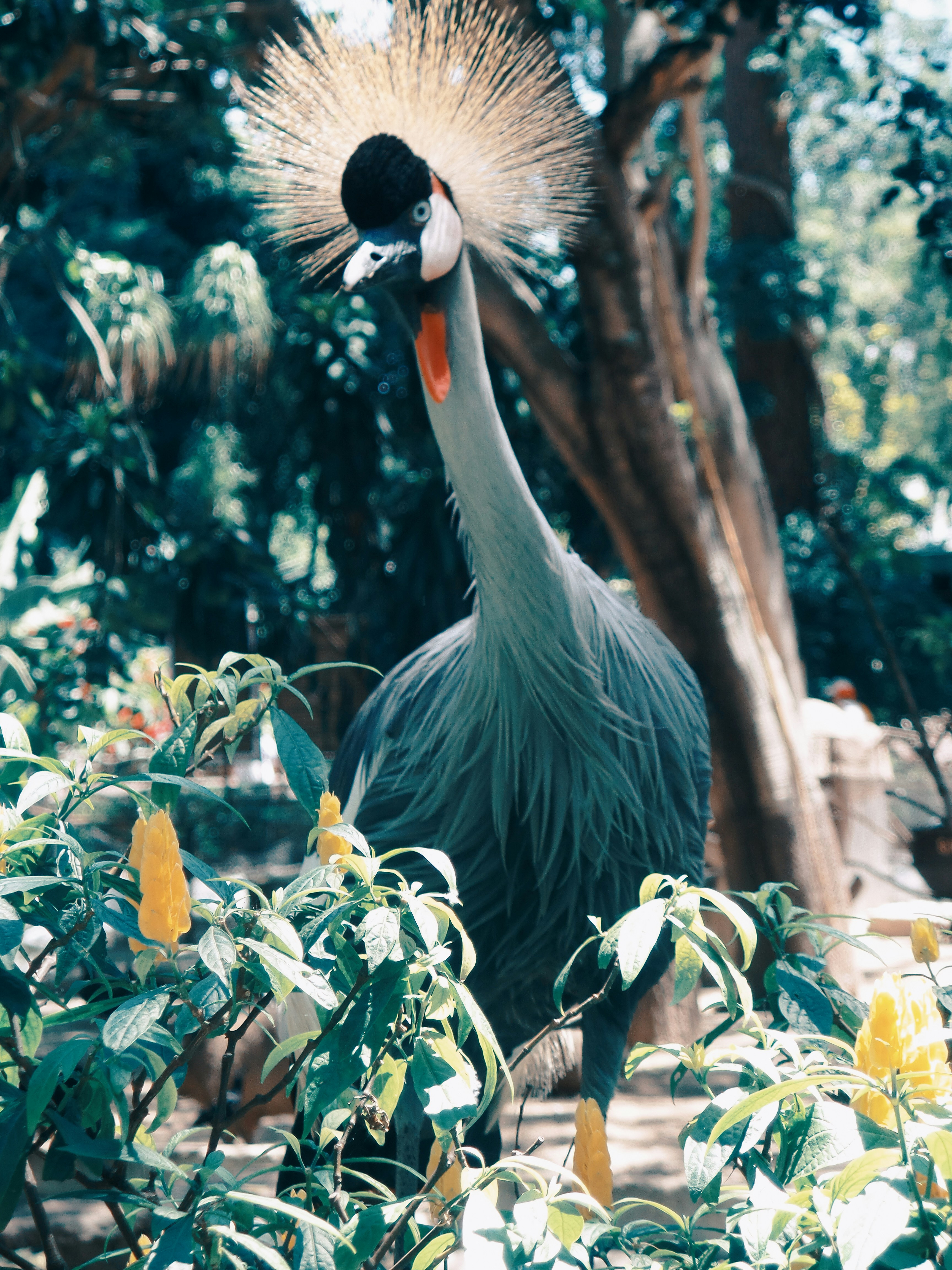 Photo by alejandroalas7536