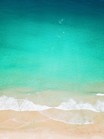 aerial photo of seashore clear green water
