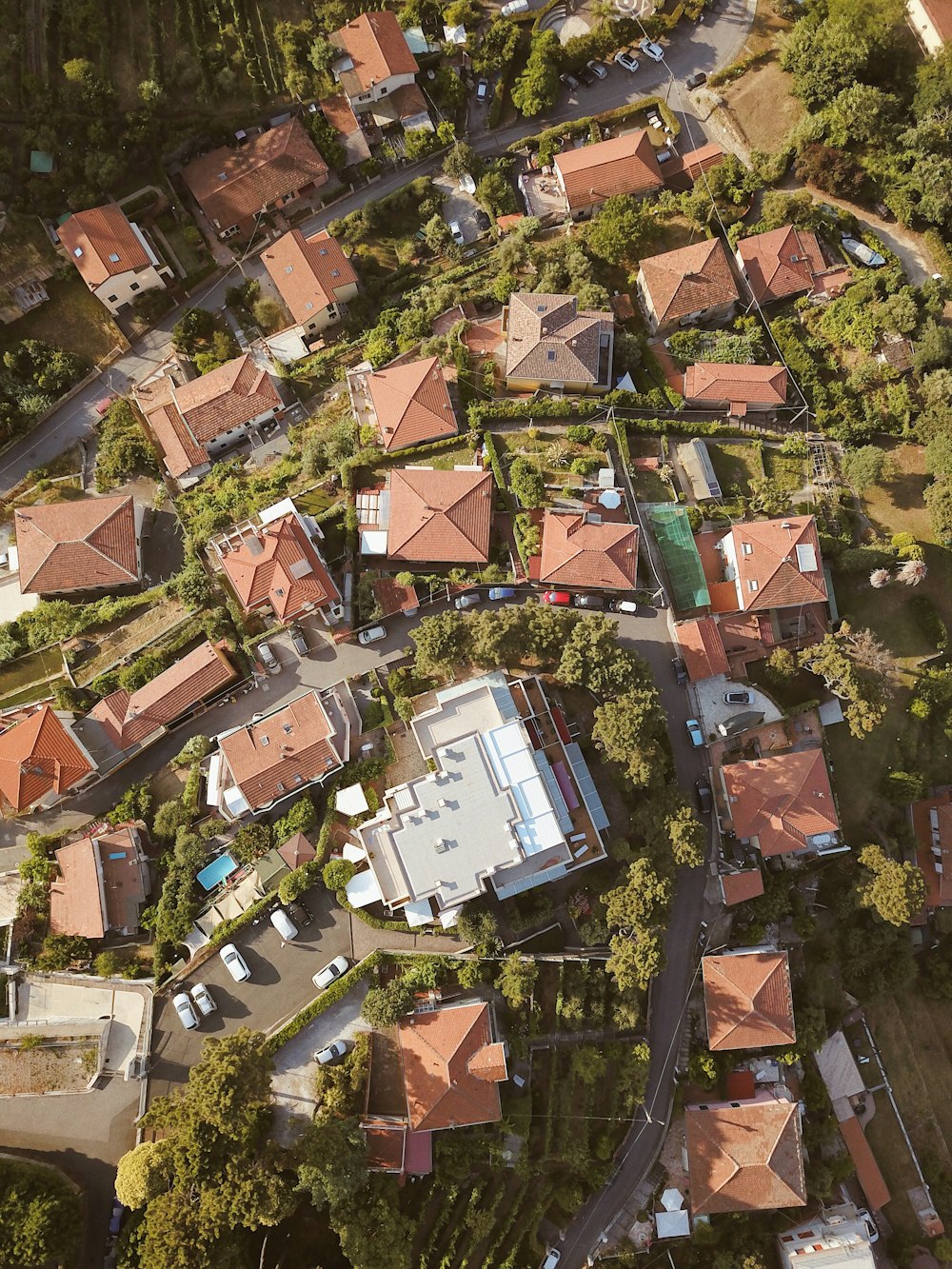 aerial photo of brown buildings and trees