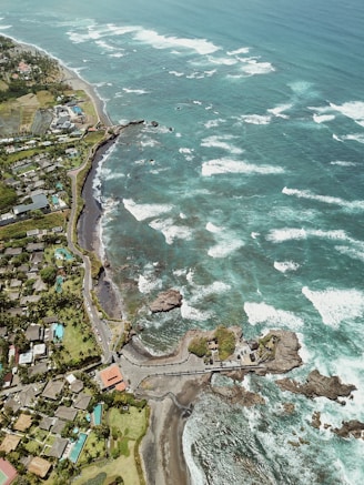 aerial photography of buildings on shore