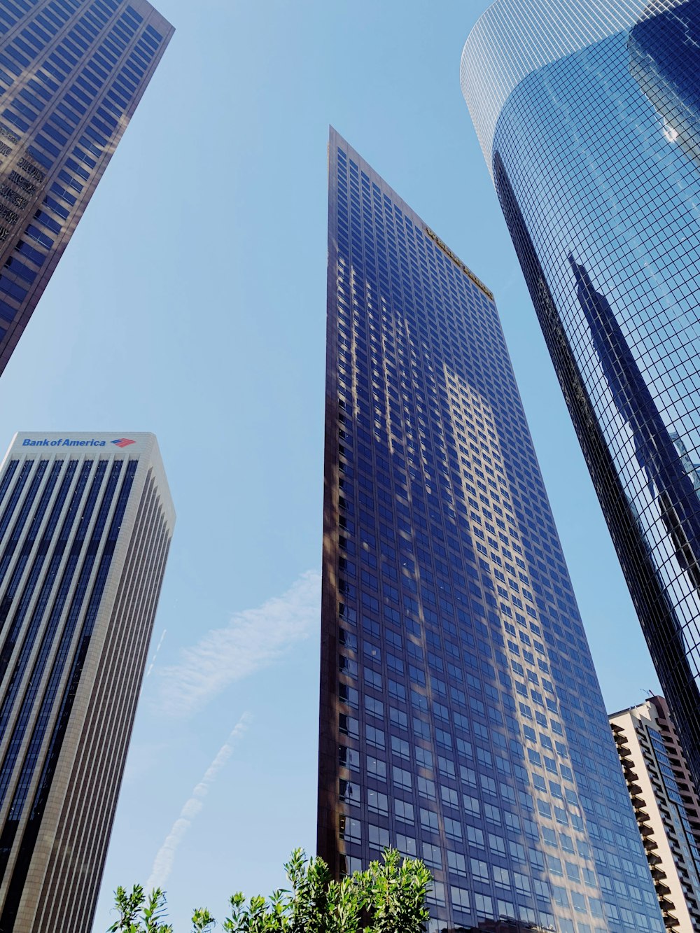 low angle photo of glass curtain building