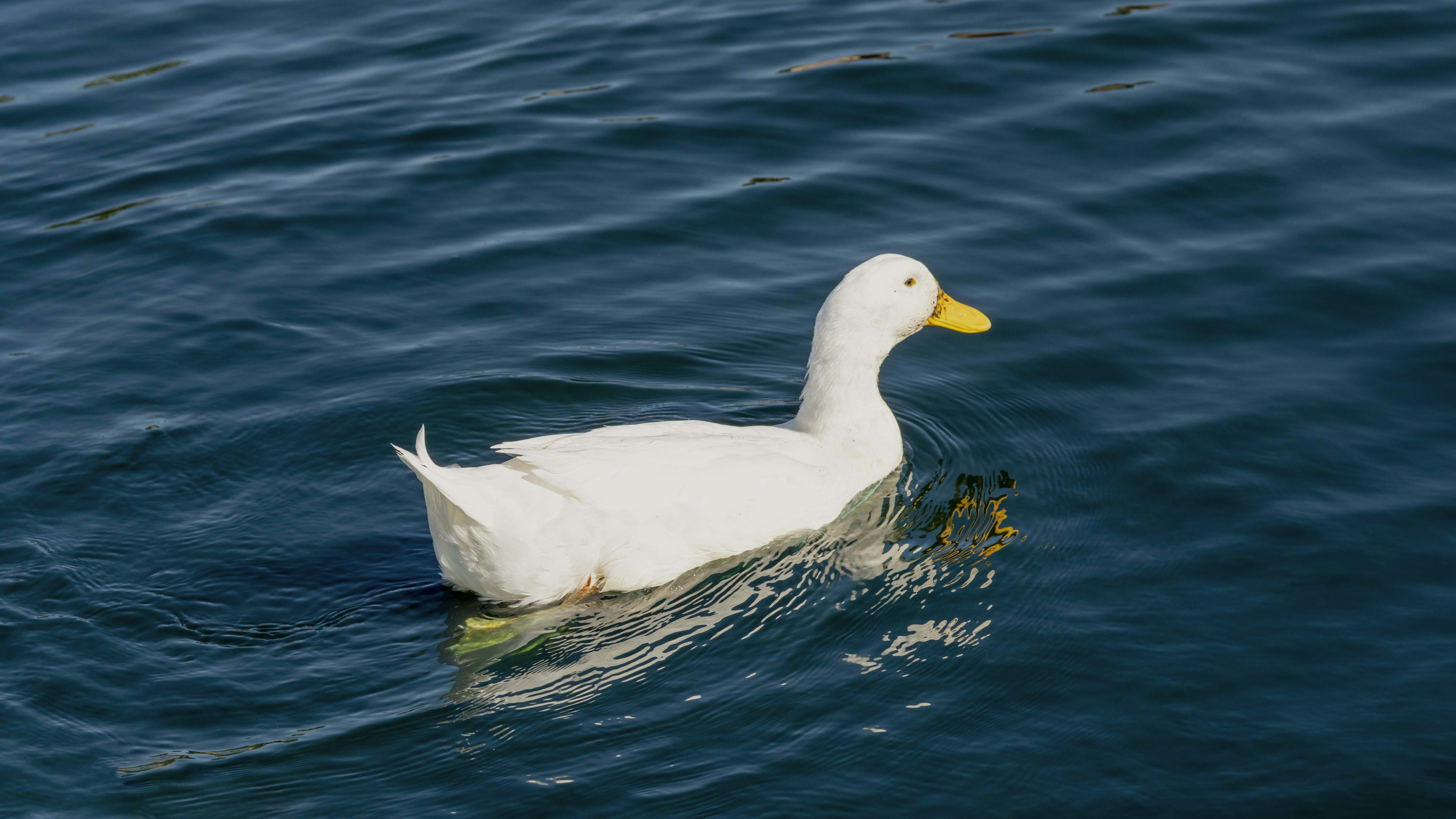 Photo by vincebalderas