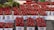 A market stall featuring multiple containers filled with fresh, ripe strawberries. The strawberries are vibrant red and neatly arranged in paper cartons with farm branding. A few green leaves are visible in the background, enhancing the freshness theme. The layout is organized, suggesting a bountiful harvest ready for sale.