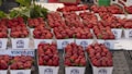 A market stall featuring multiple containers filled with fresh, ripe strawberries. The strawberries are vibrant red and neatly arranged in paper cartons with farm branding. A few green leaves are visible in the background, enhancing the freshness theme. The layout is organized, suggesting a bountiful harvest ready for sale.