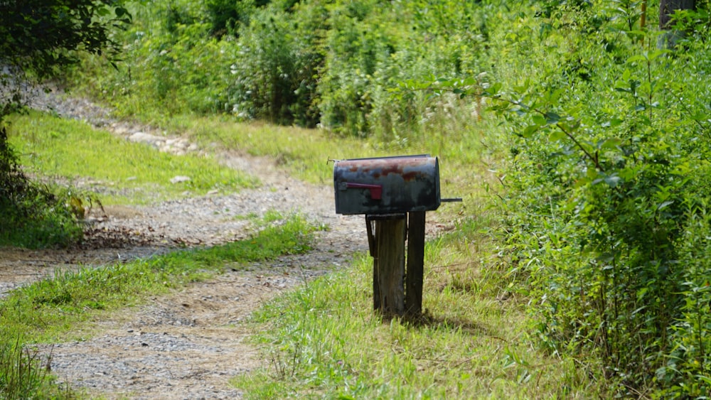mailbox on post on grass field beside dirt road
