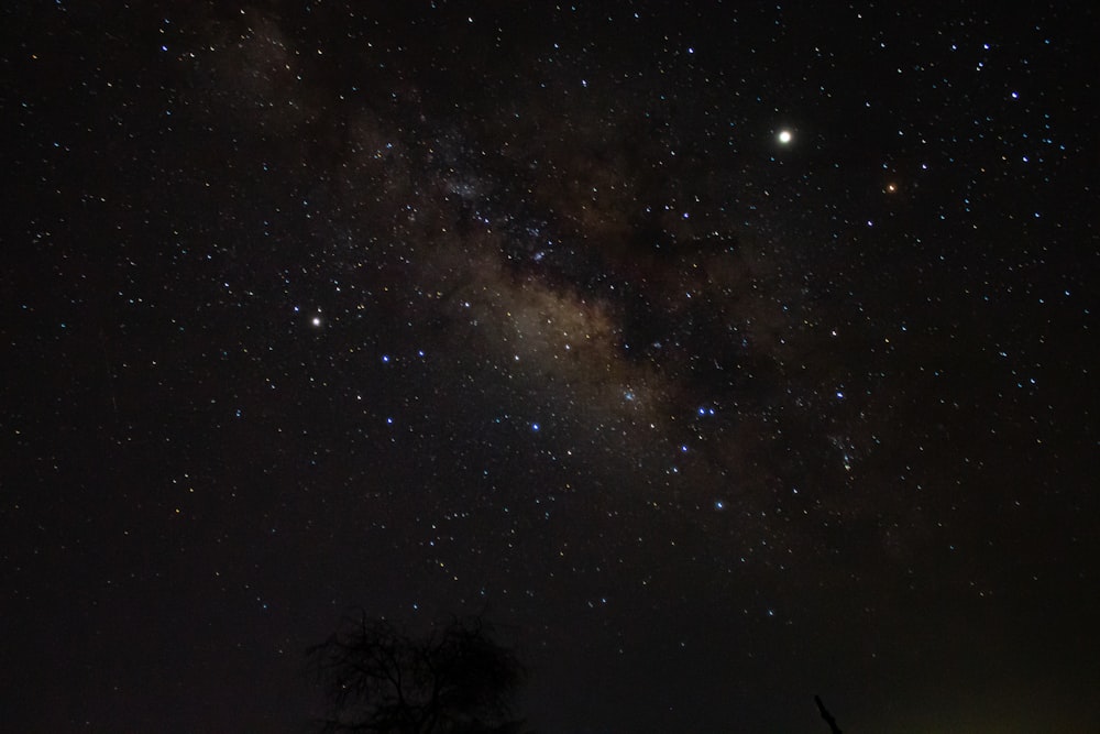 Estrellas en la noche