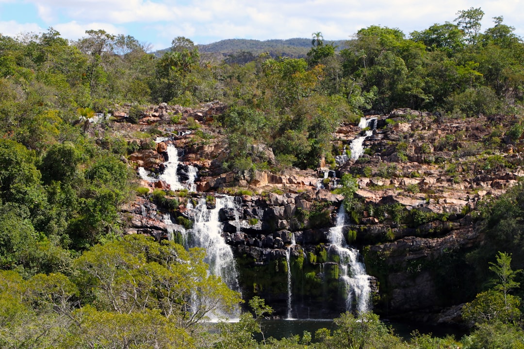 waterfalls on forest during daytime