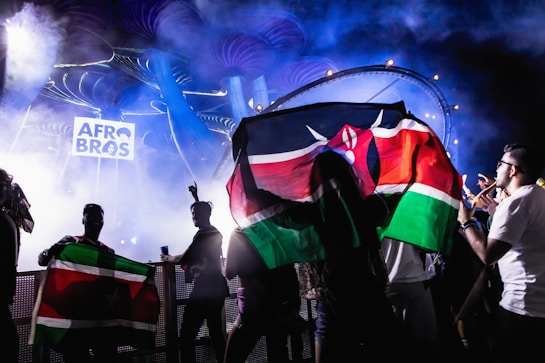 A vibrant concert scene with people holding flags against a backdrop of colorful lights and smoke. The logo 'Afro Bros' is prominently displayed in the background, and the atmosphere is dynamic and lively.