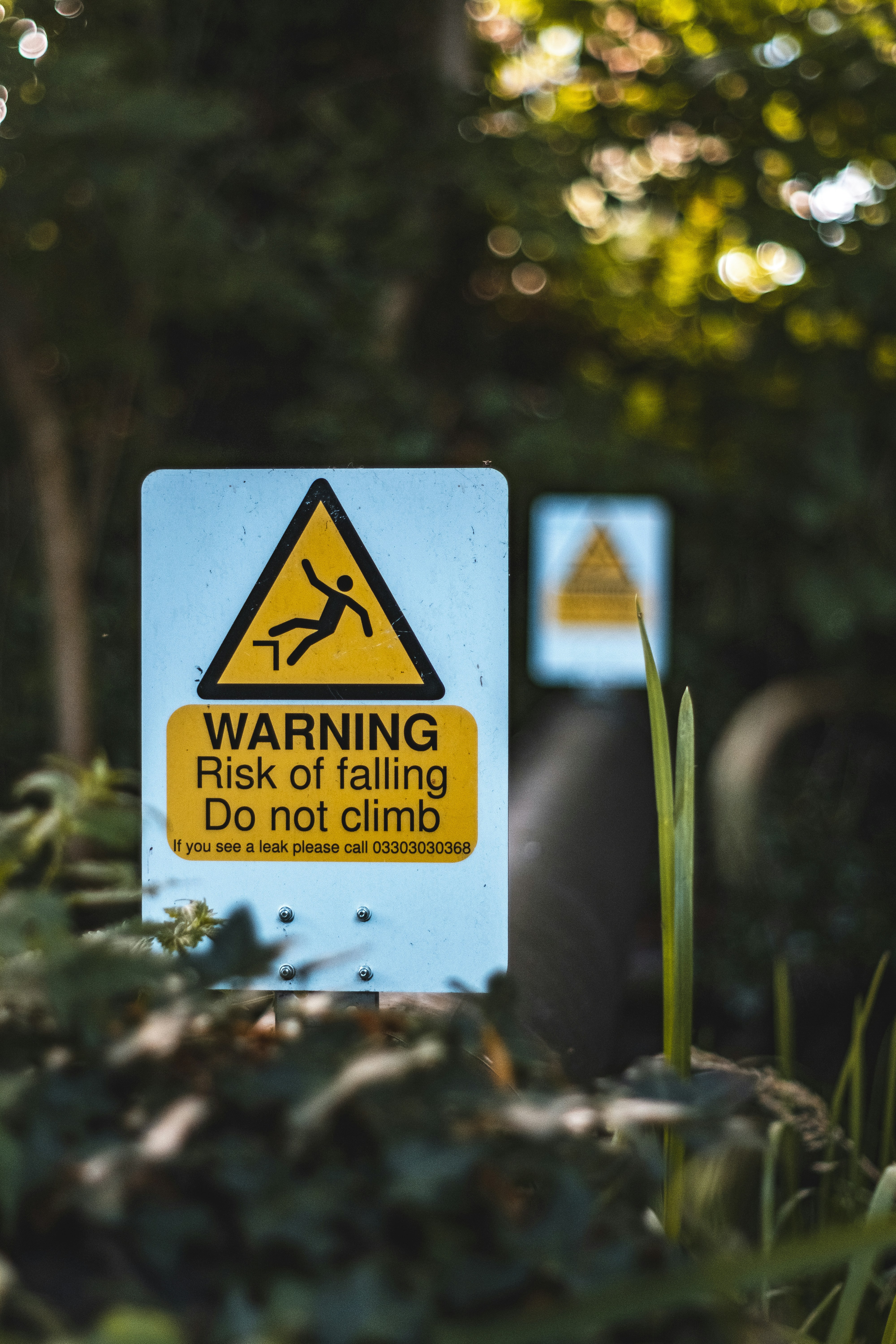 photo-1565034538902-4d57b6e0900c?ixid=M3wxMjA3fDB8MXxzZWFyY2h8MTR8fGF2ZXJ0aXNzZW1lbnR8ZW58MHx8fHwxNzY1MTM4OTg5fDA\u0026ixlib=rb-4.1.0