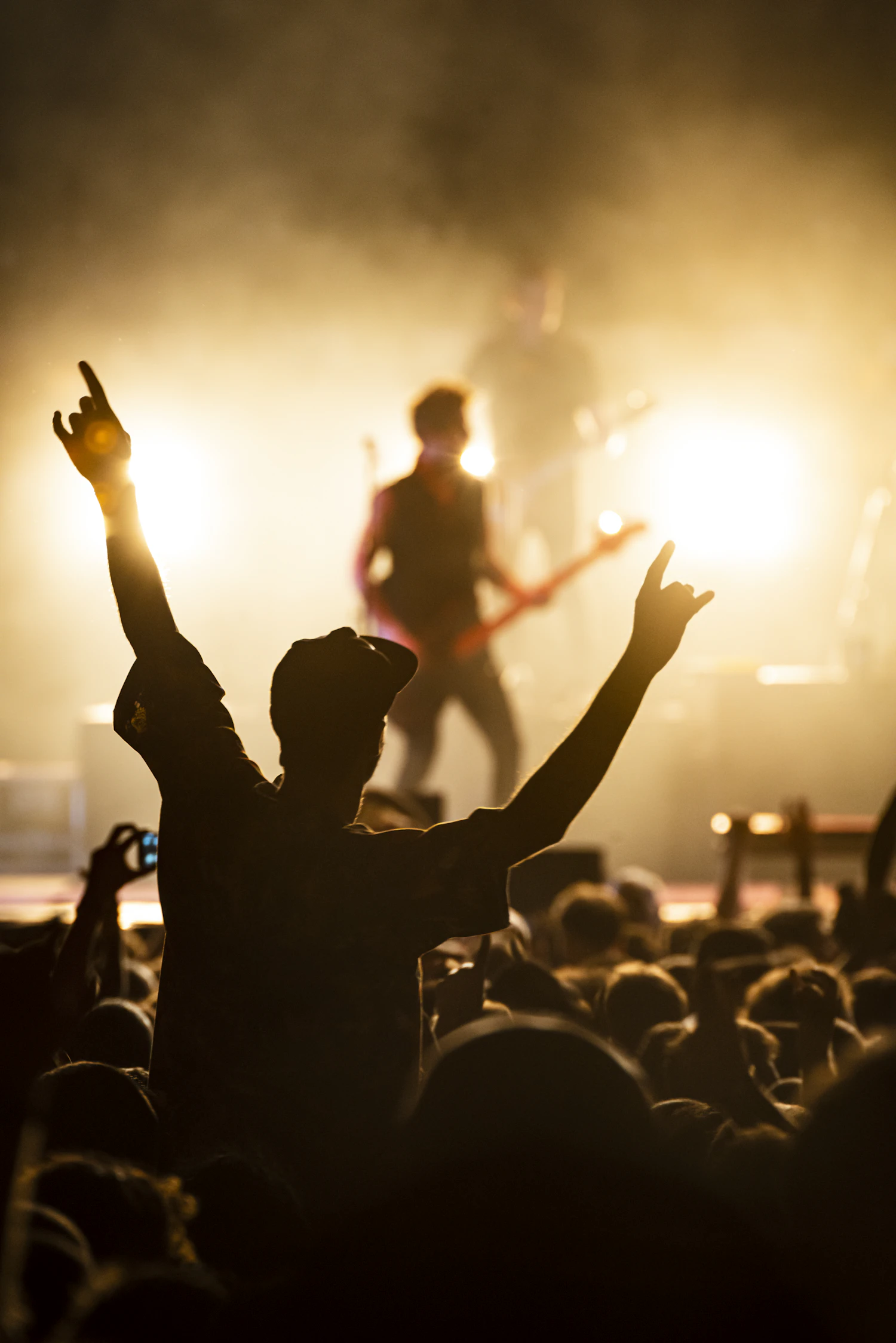 A crowd with arms raised, lit from the stage behind them