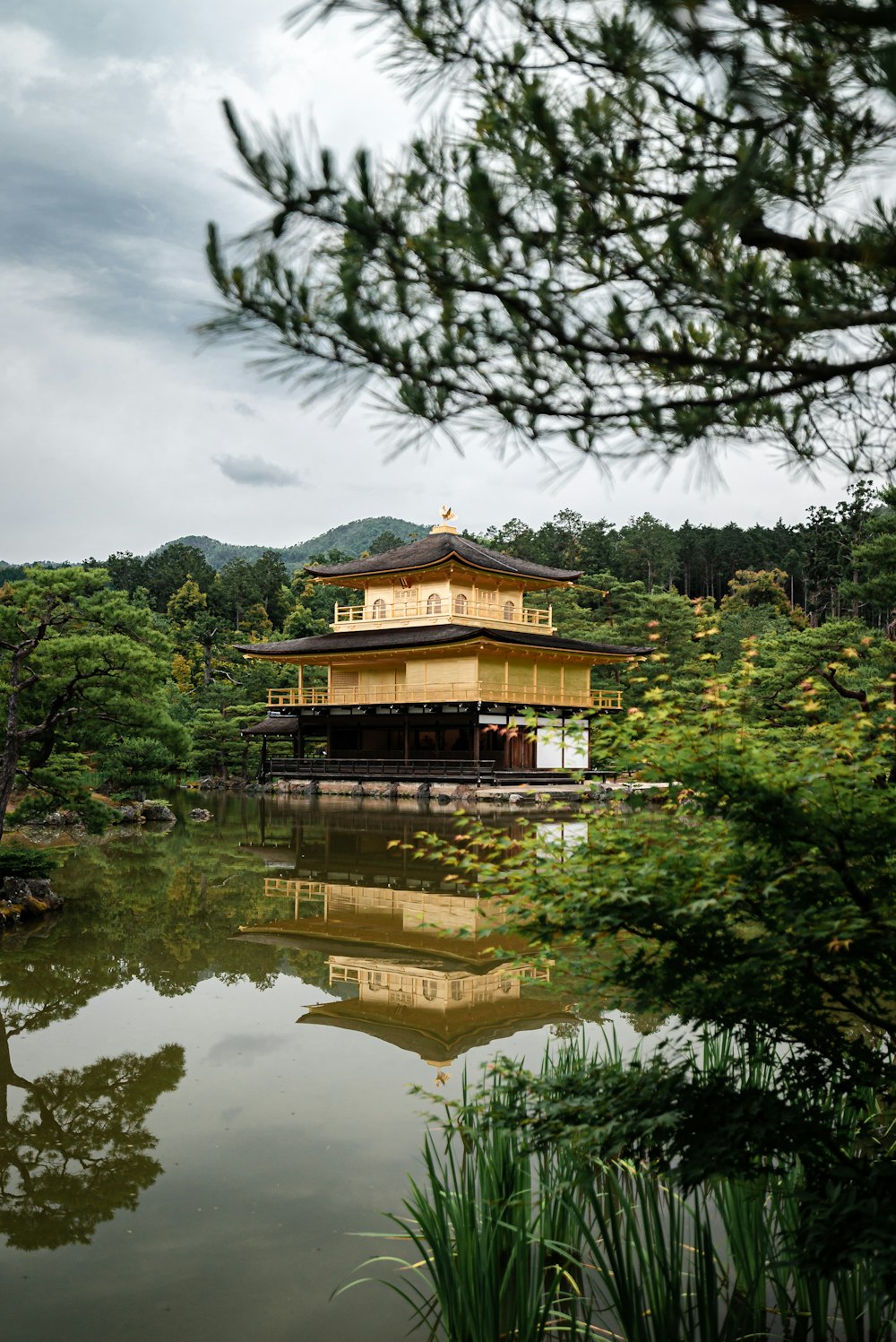 yellow wooden house on body of water surrounded with trees