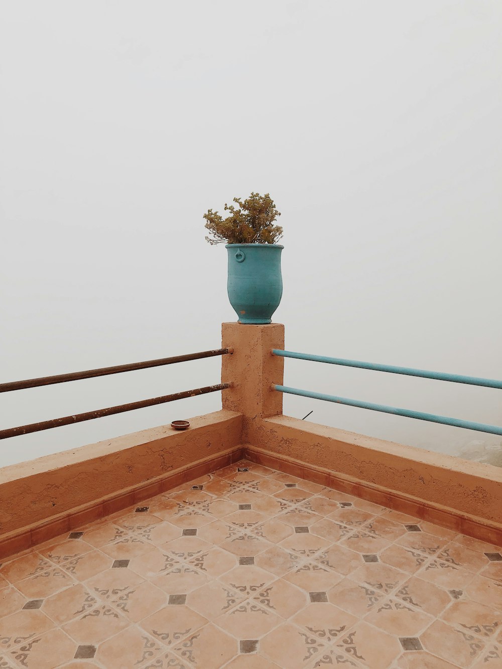 Plante en pot sur balustrade d’angle