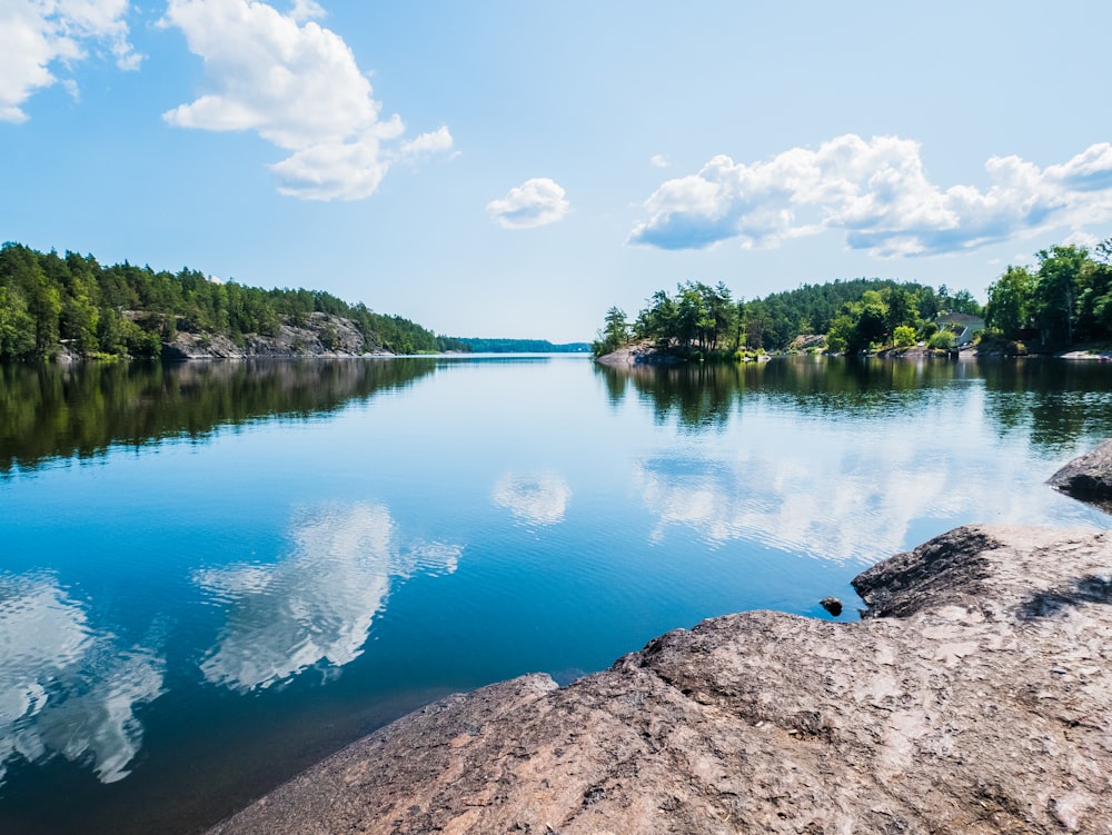 lake and forest during day