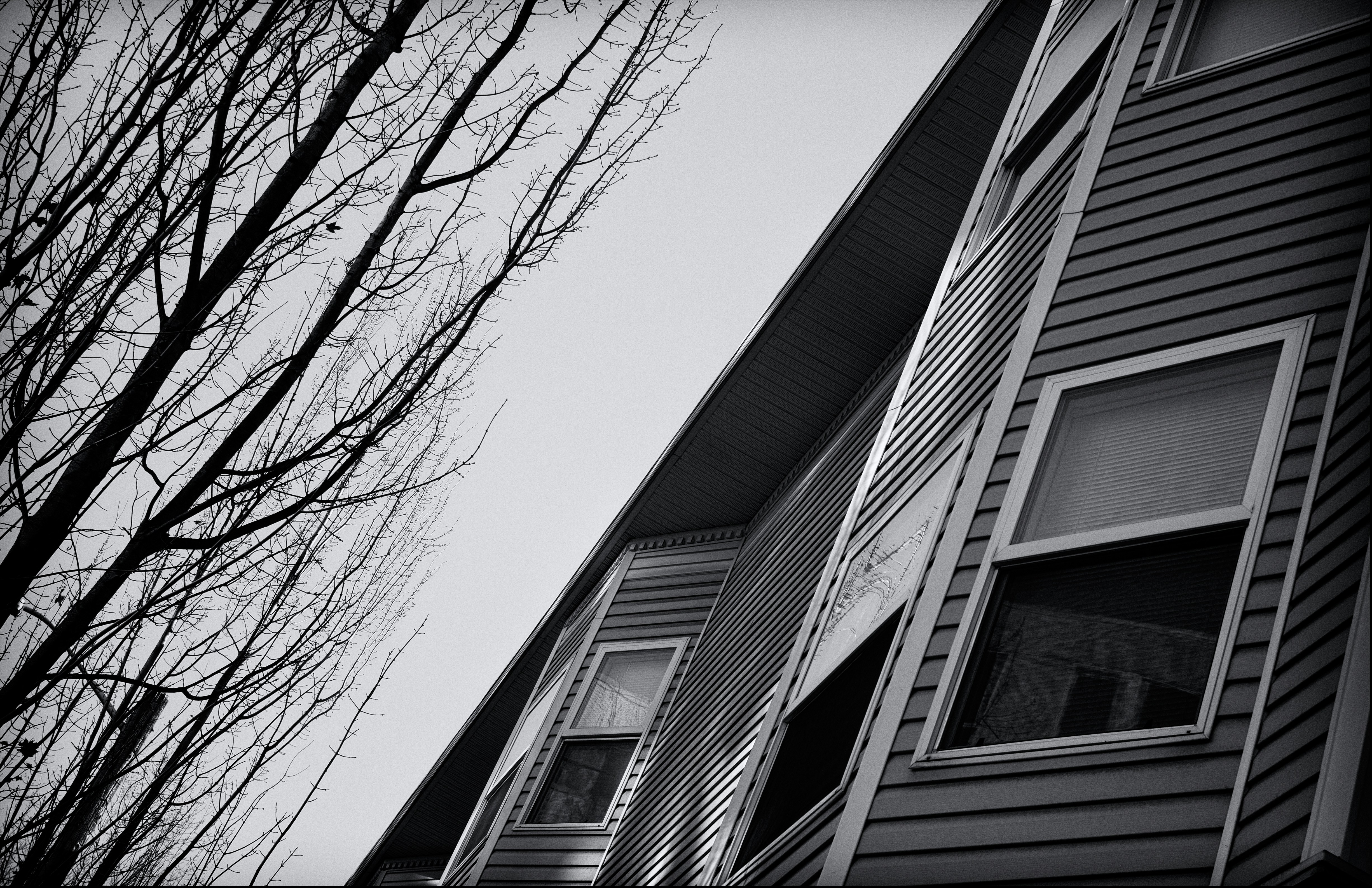 Photo by dr_joni_multimedia