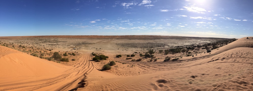 desert during day