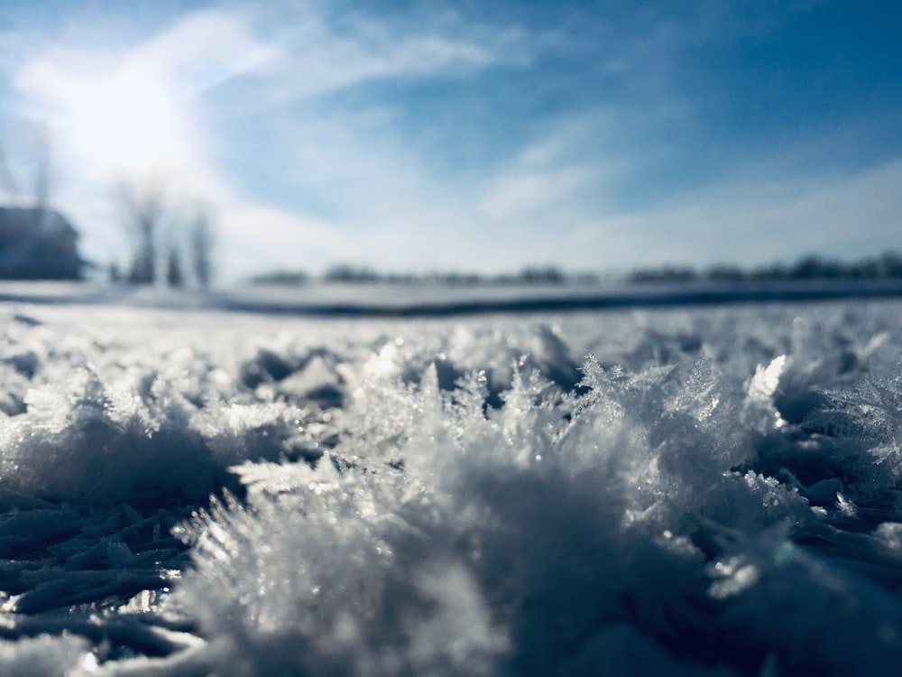 snowflakes on field during daytime