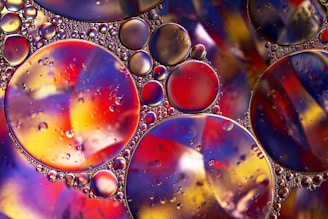 A vibrant composition of variously sized oil droplets suspended on a colorful surface, creating a stunning abstract pattern. The droplets are round and reflect light, showcasing a mix of reds, yellows, blues, and purples. The background displays a swirling mélange of colors, adding depth to the image.