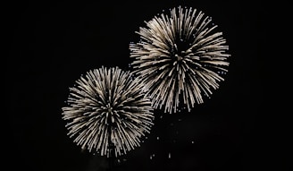 yellow fireworks bursting in dark sky