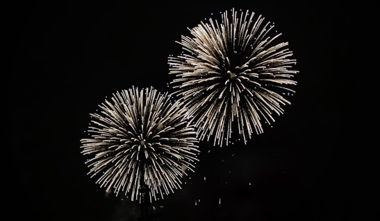 yellow fireworks bursting in dark sky