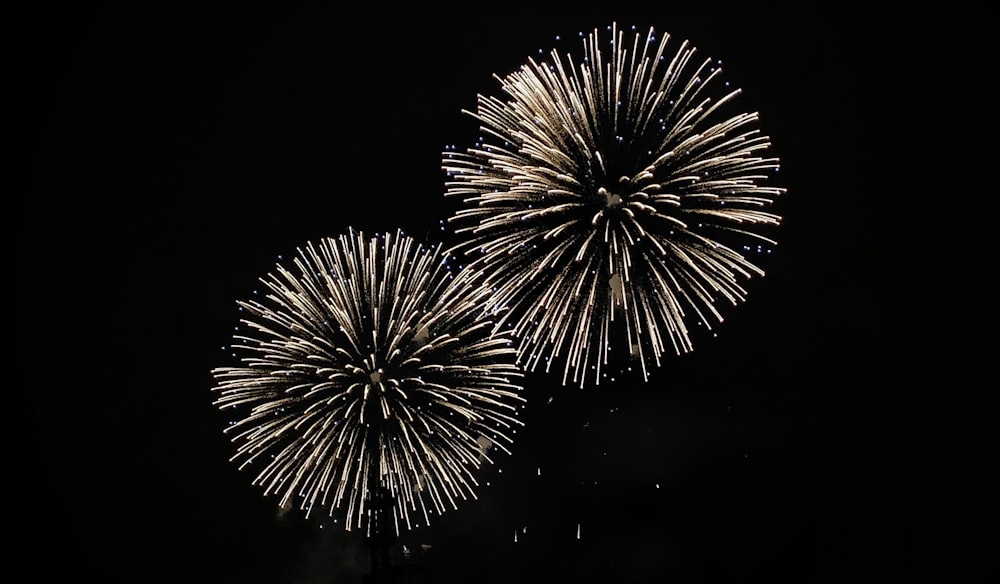 yellow fireworks bursting in dark sky