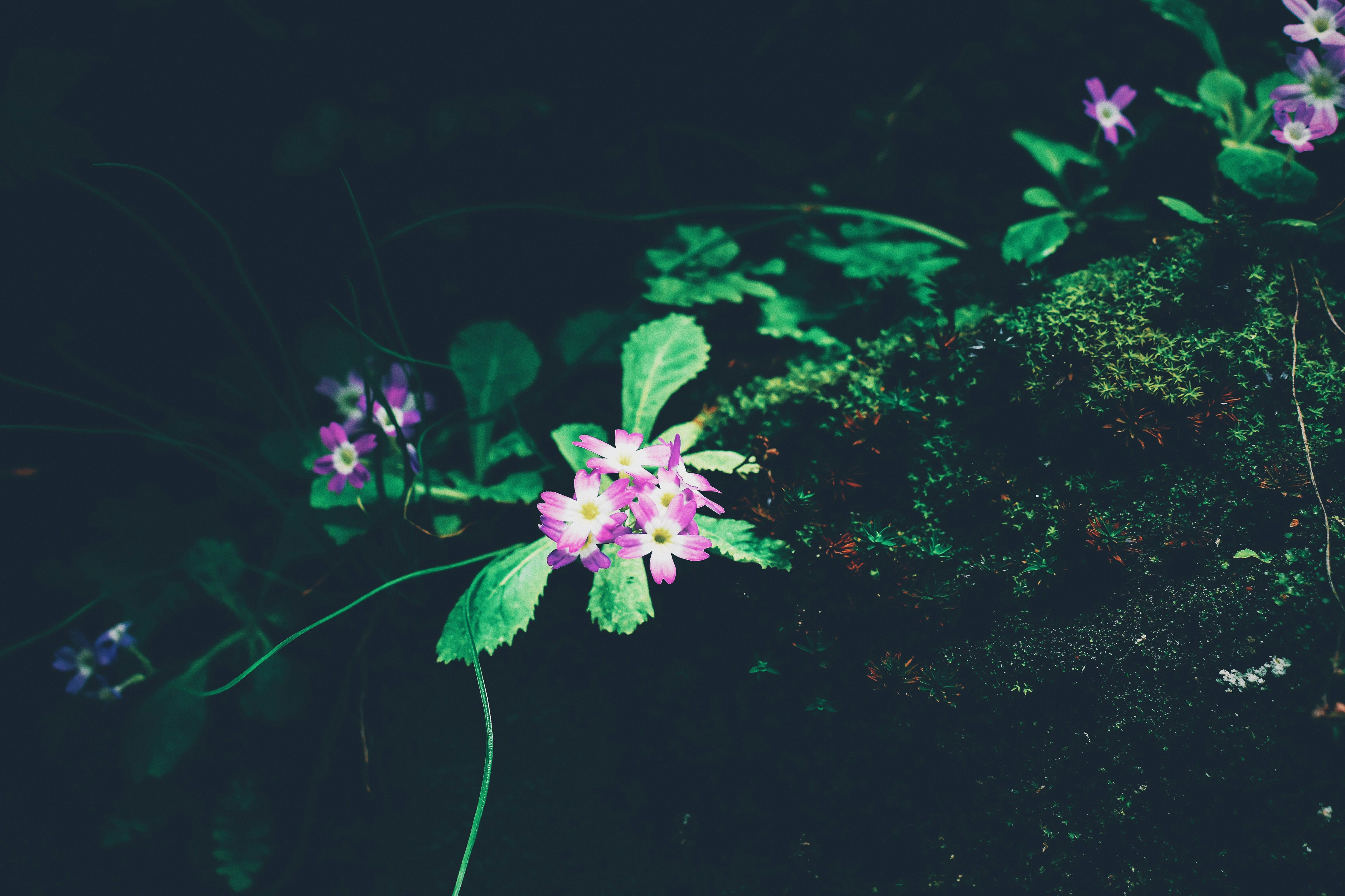 Photo by jizhidexiaohailang