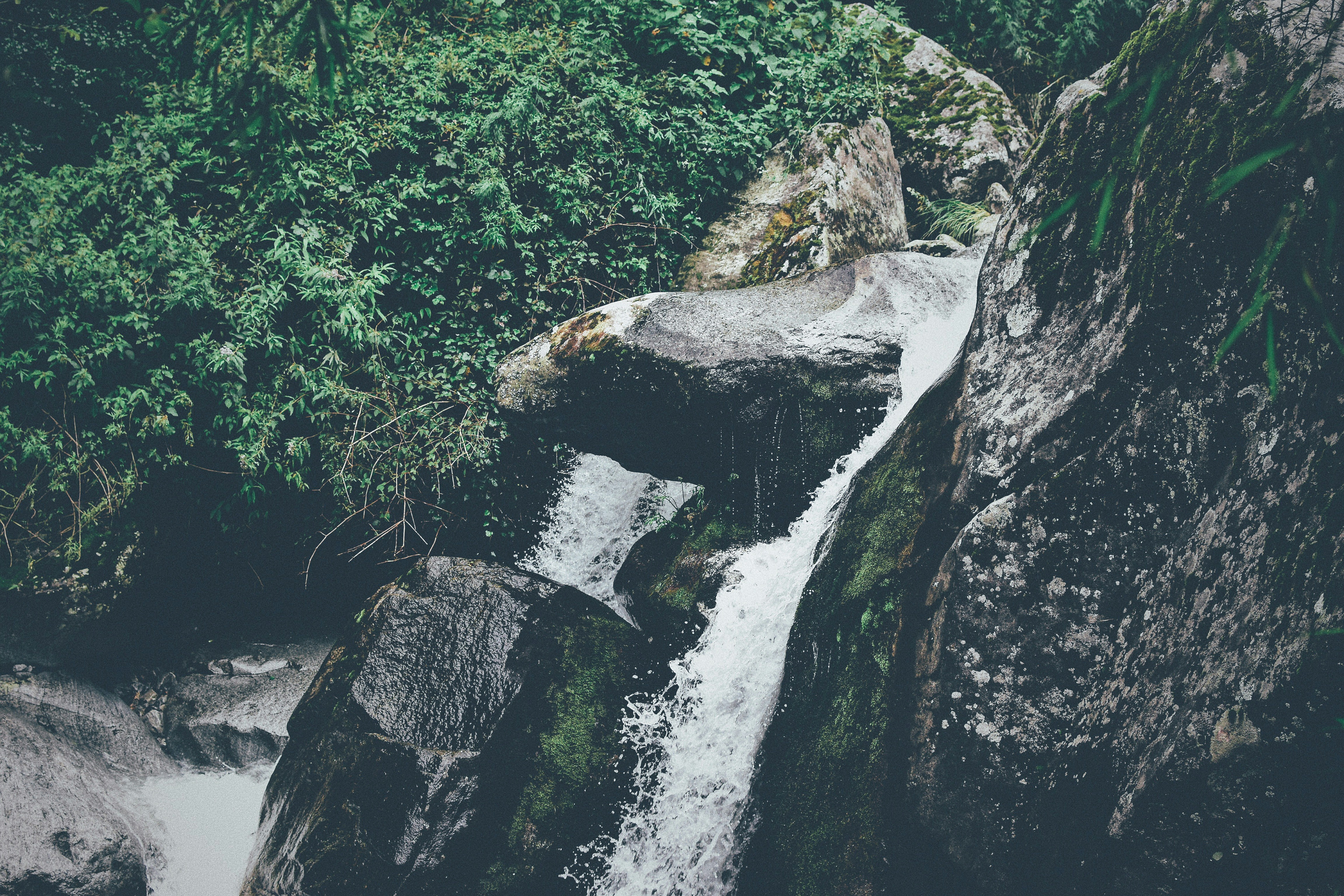 Photo by jizhidexiaohailang