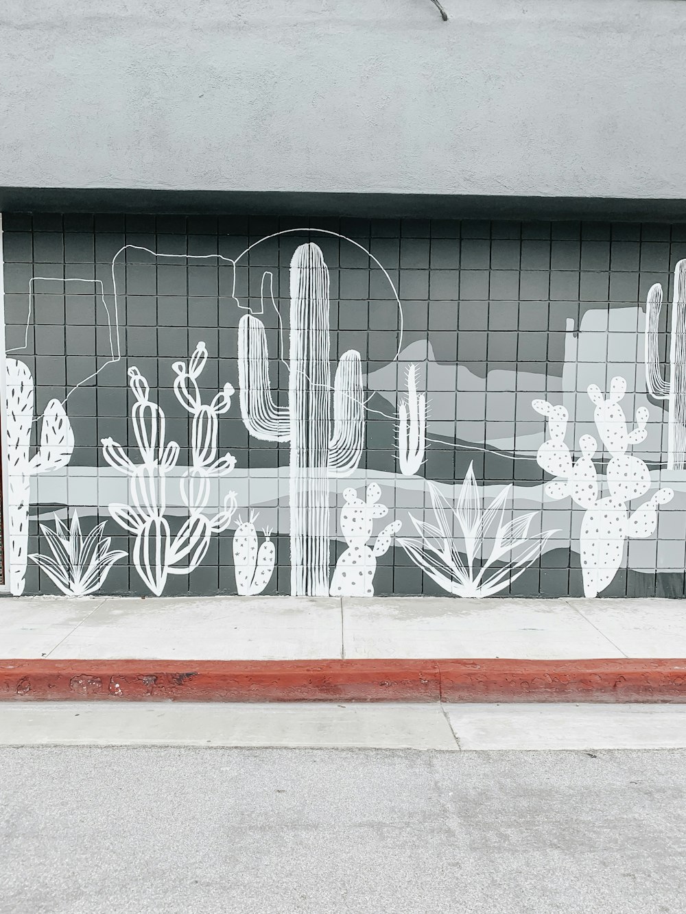 pintura mural de pared de cactus blanco