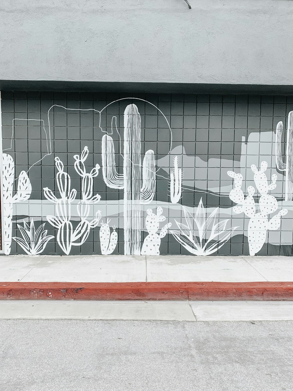 White Cactus Wall Mural Painting Photo Free Painting Image On