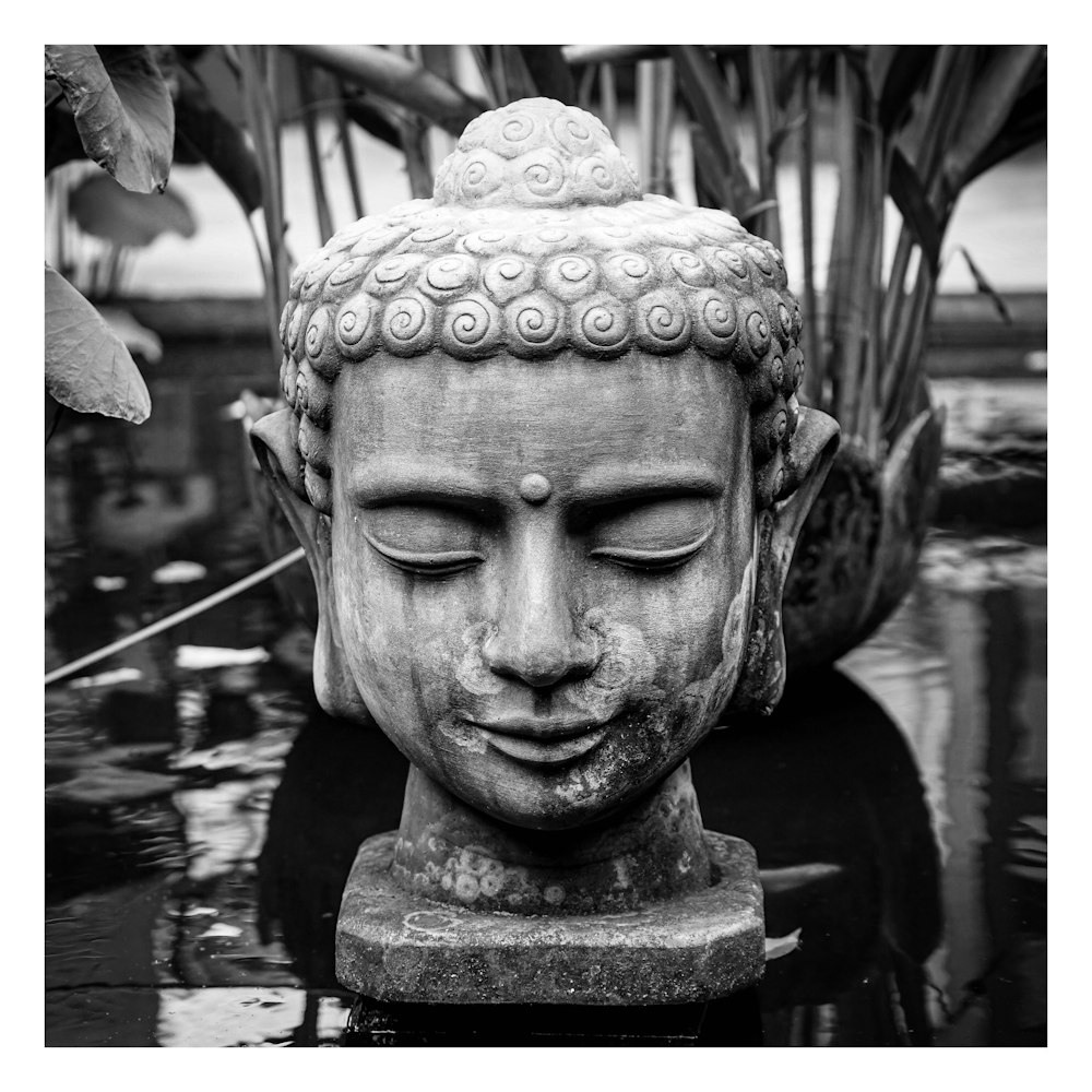 grayscale photography of Gautama Buddha bust