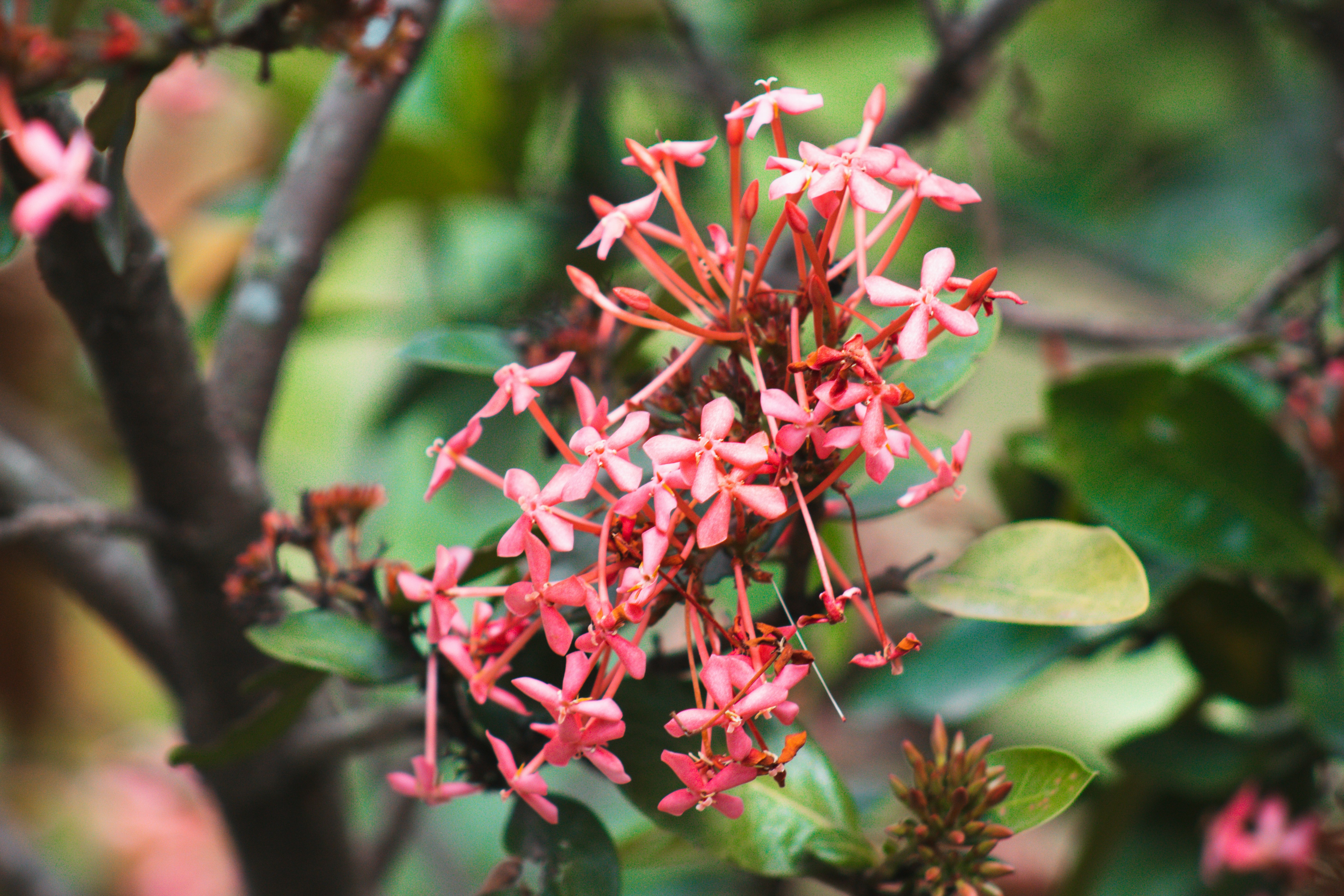 Photo by karinahalley