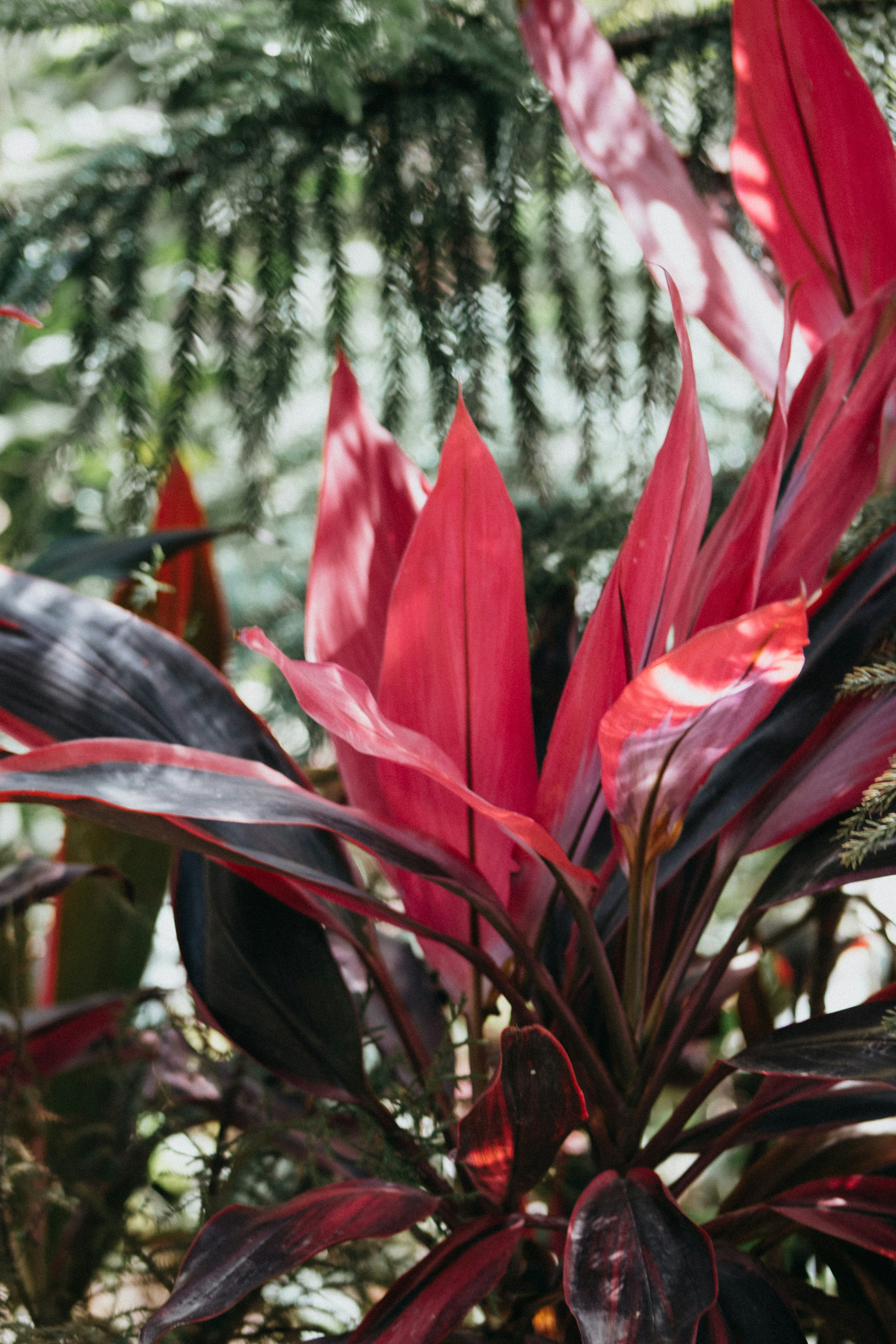 Photo by karinahalley