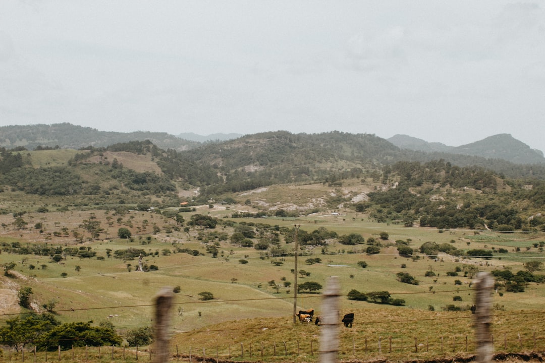 people standing on hill