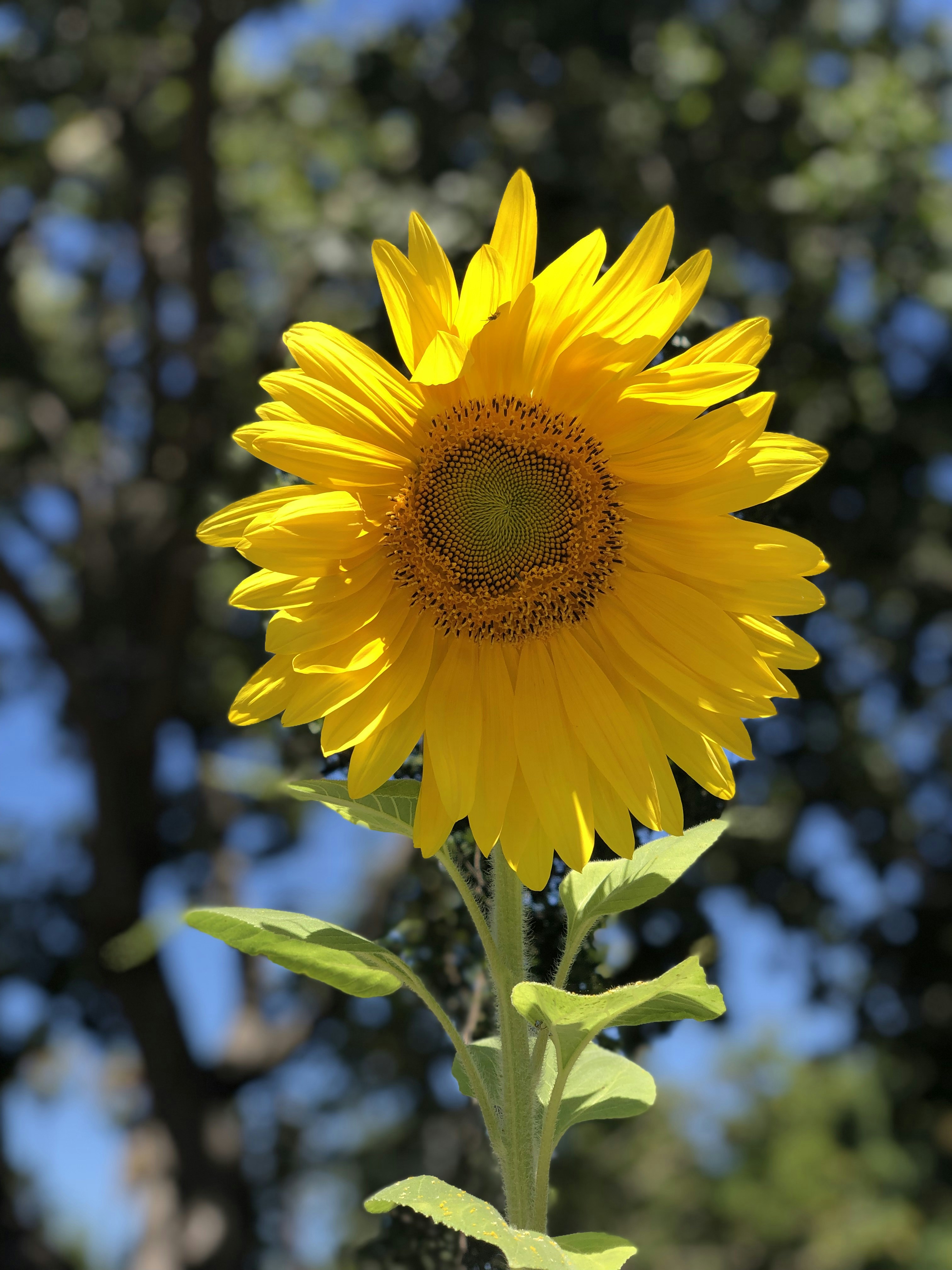 Photo by remoteprose