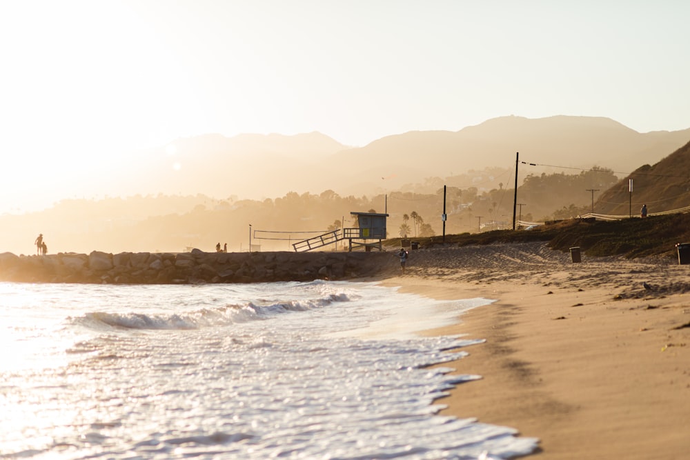 seashore during daytime