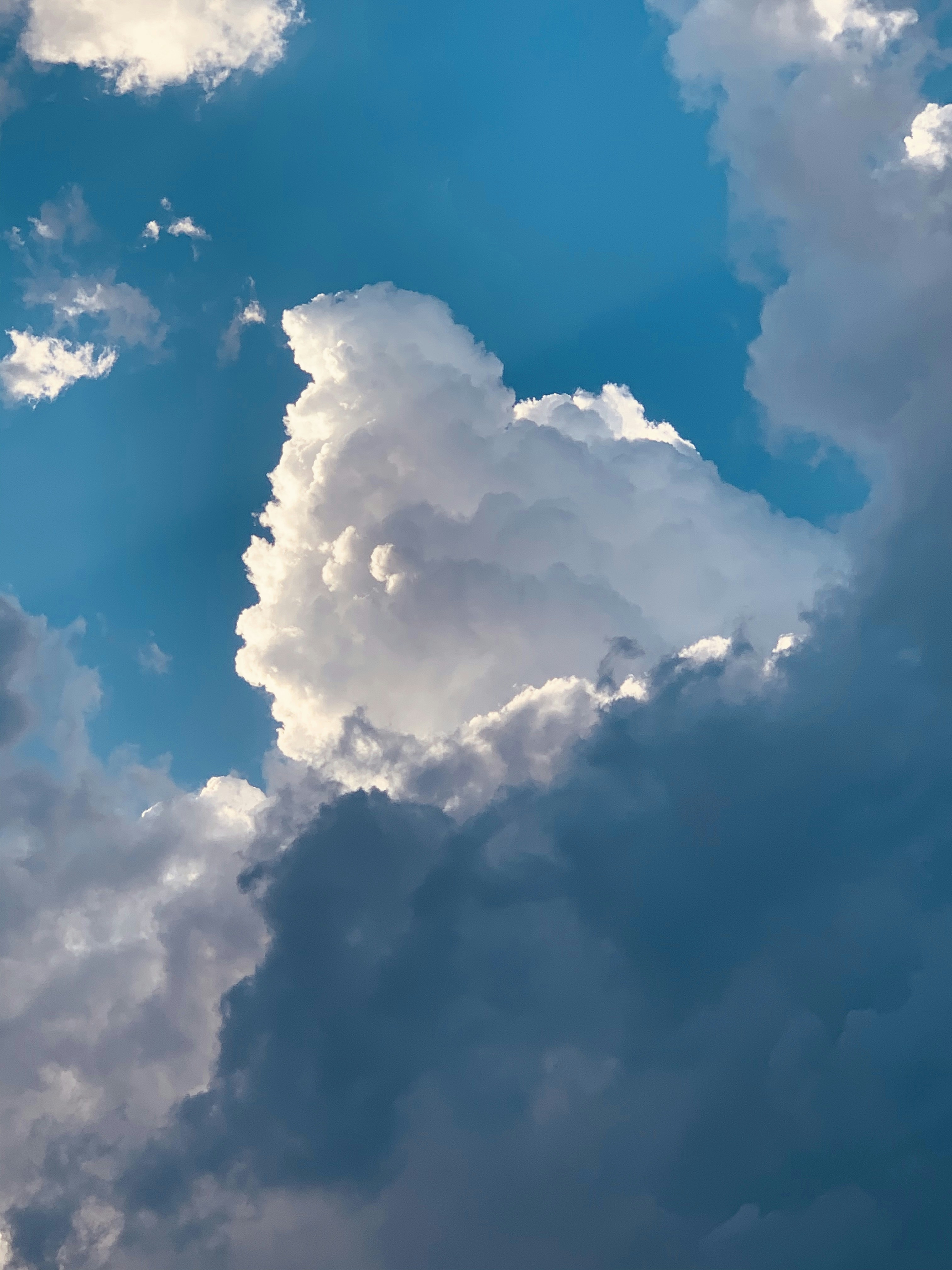 Photo by photohunter