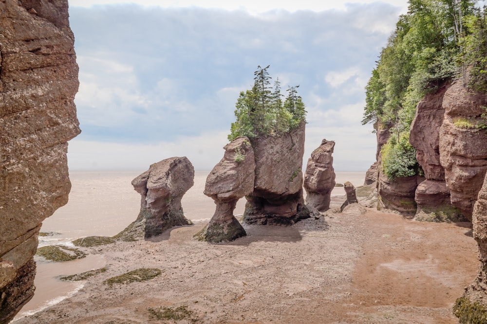 a group of rocks sitting on top of a sandy beach