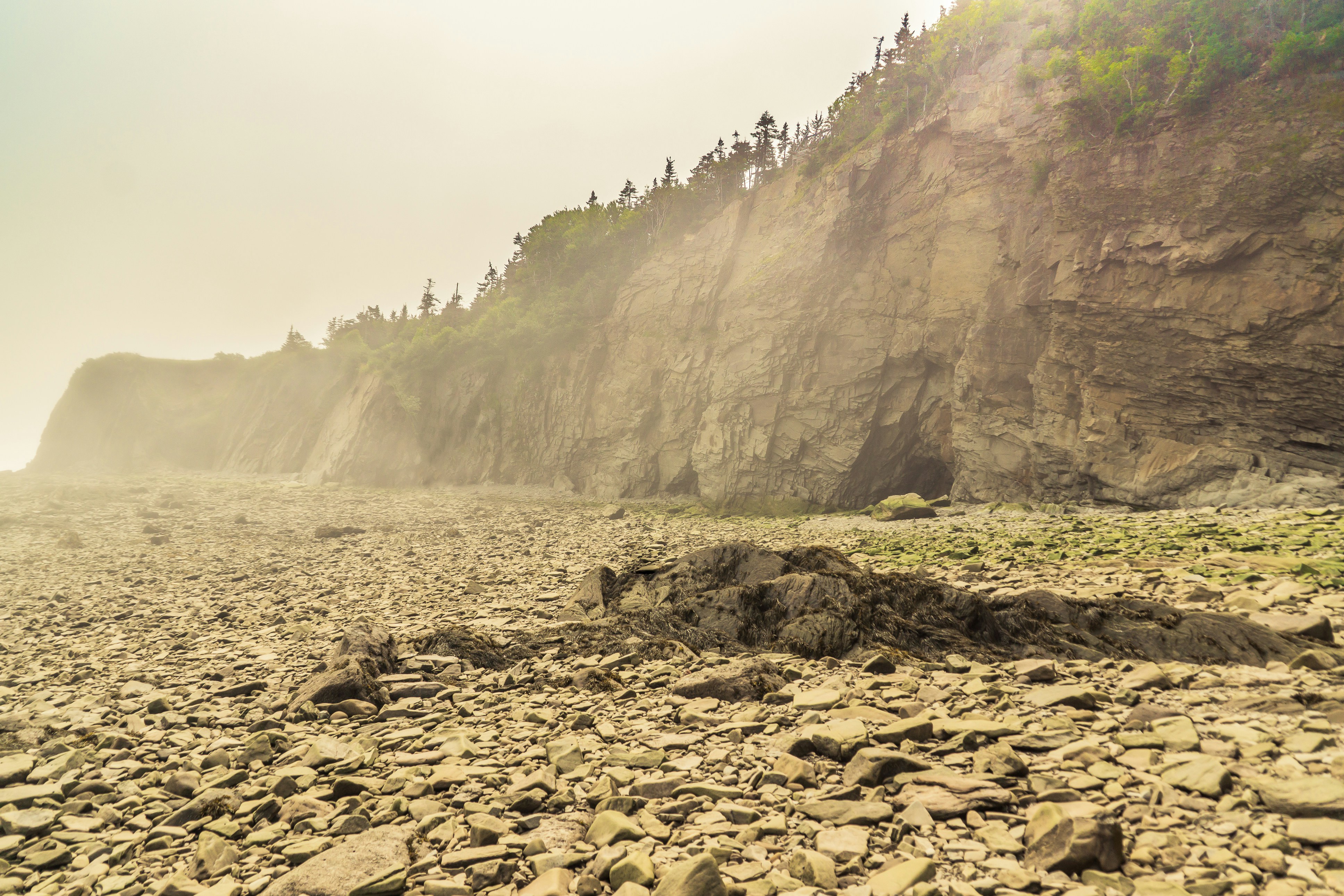 a rocky beach next to a cliff on a foggy day