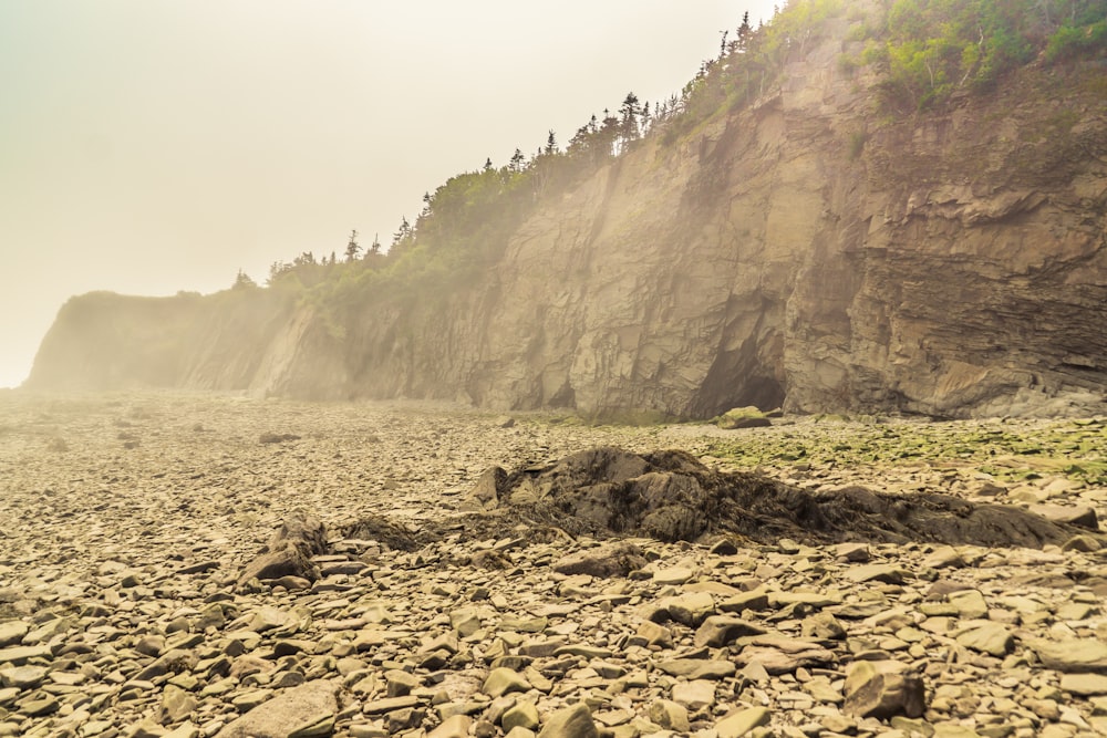 a rocky beach next to a cliff on a foggy day