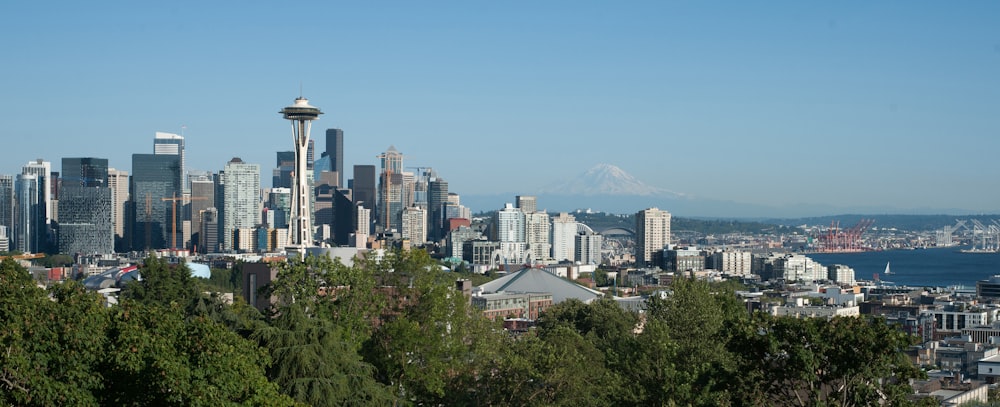 Edifici di Seattle sotto il cielo blu
