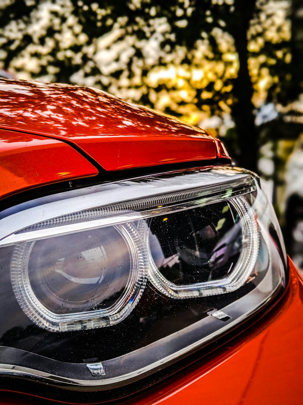 vehicle headlight in close up photo
