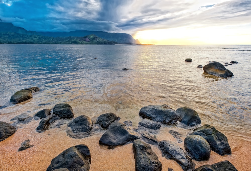 seashore during golden hour