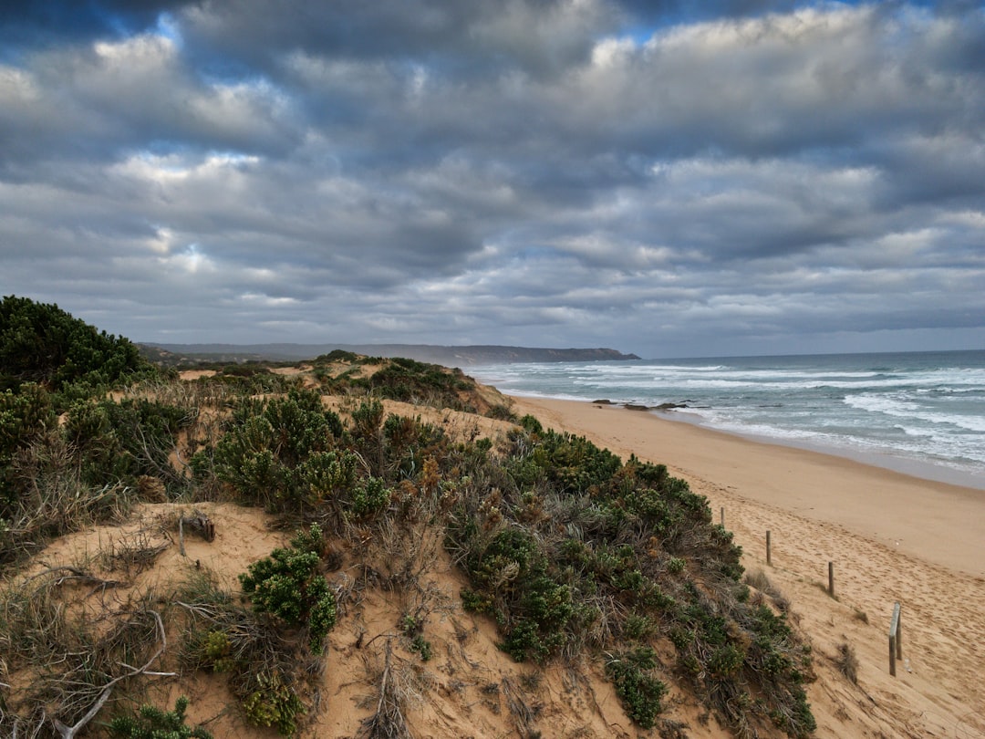 Beach photo spot Truemans Rd Mornington VIC