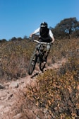 A person wearing protective gear and a helmet is riding a mountain bike on a rough and rocky trail surrounded by dry bushes and shrubs. The rider appears to be taking an aggressive posture, leaning forward while gripping the handlebars tightly. The background features scattered trees under a clear blue sky, showcasing a rugged outdoor environment.