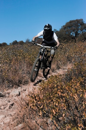 A person wearing protective gear and a helmet is riding a mountain bike on a rough and rocky trail surrounded by dry bushes and shrubs. The rider appears to be taking an aggressive posture, leaning forward while gripping the handlebars tightly. The background features scattered trees under a clear blue sky, showcasing a rugged outdoor environment.