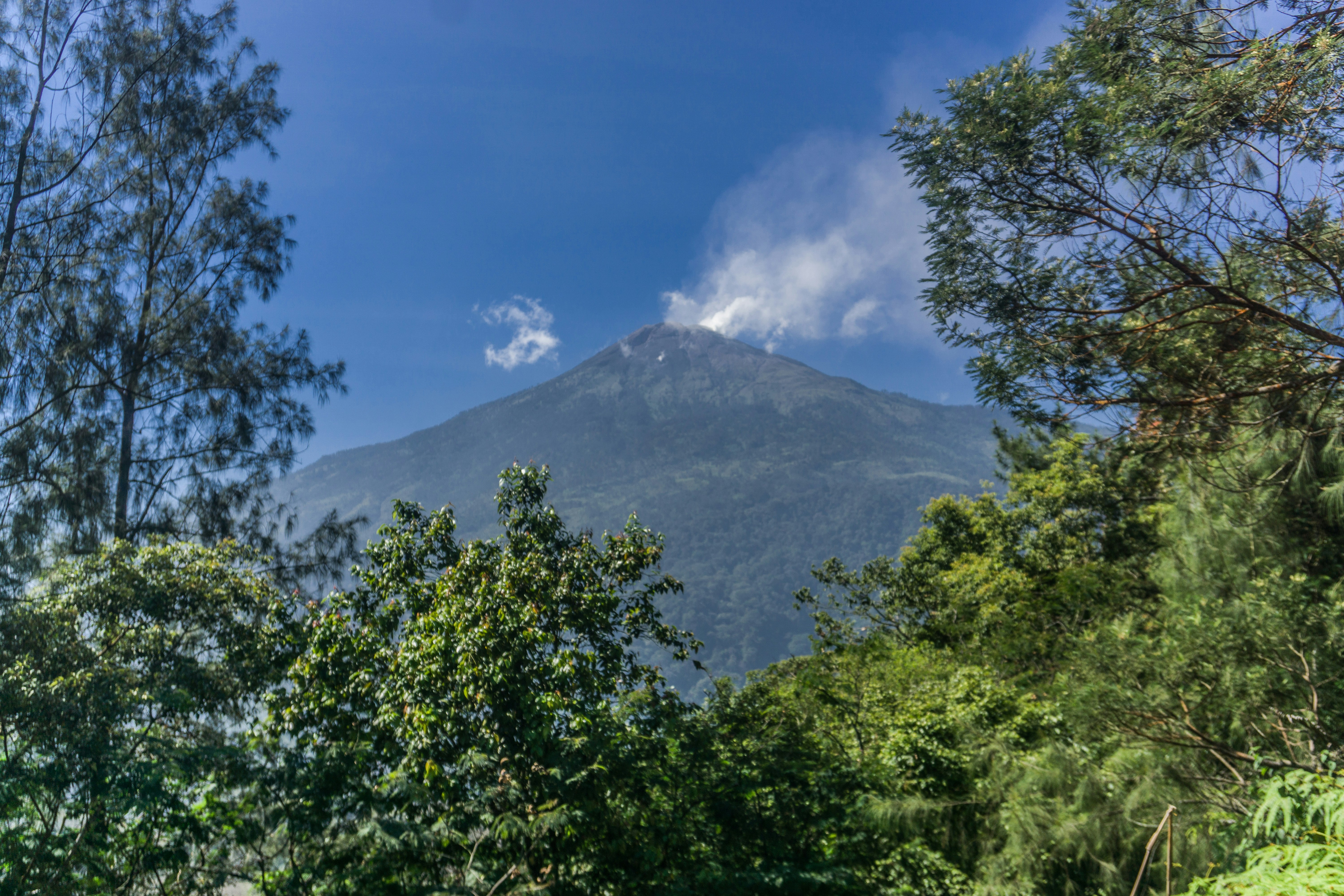Experiencing Kinabalu's Wonders (image credits: unsplash)