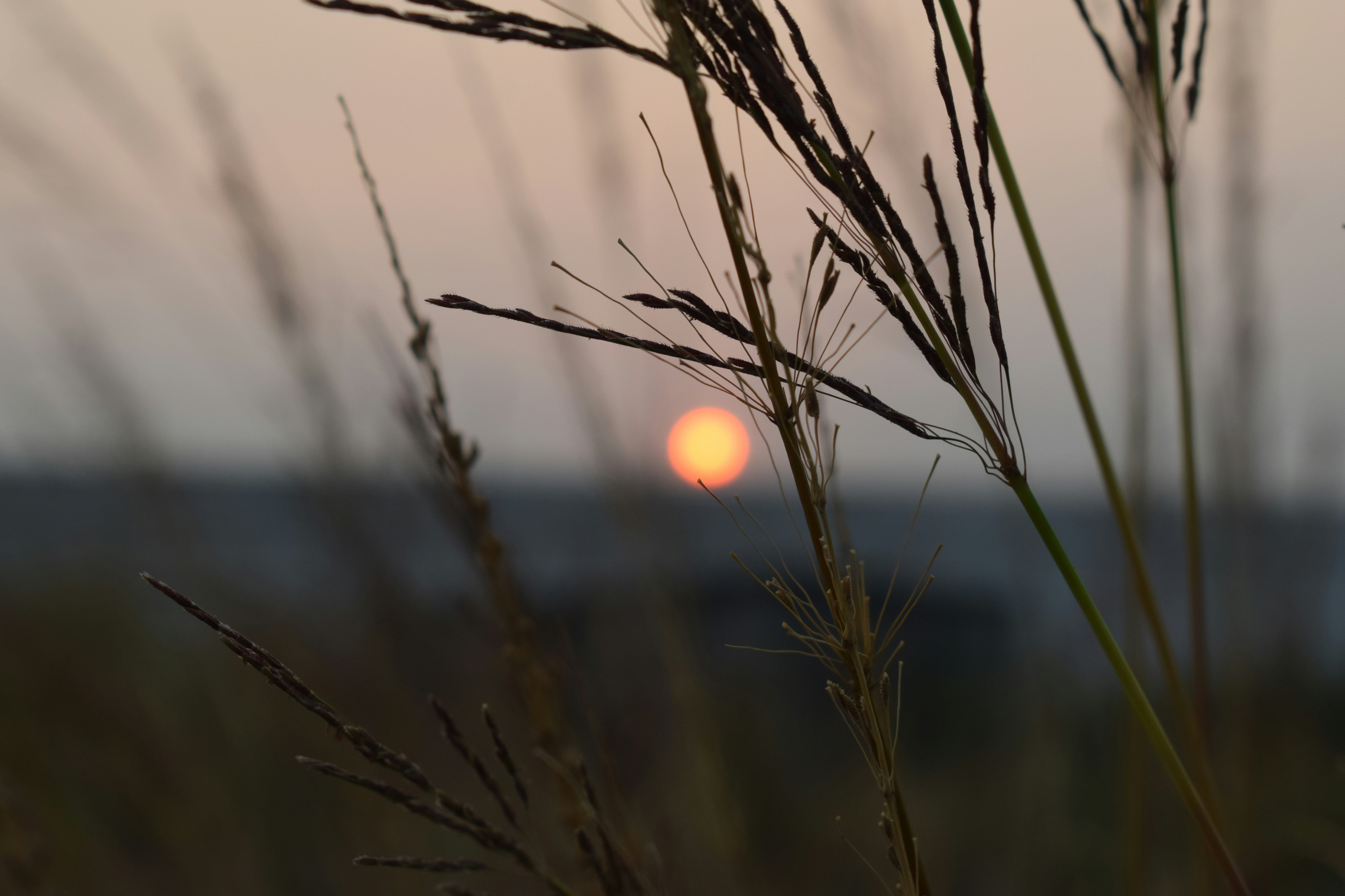 Photo by arkakarmakar97