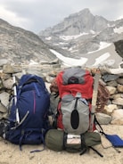 two blue and gray rucksack bags